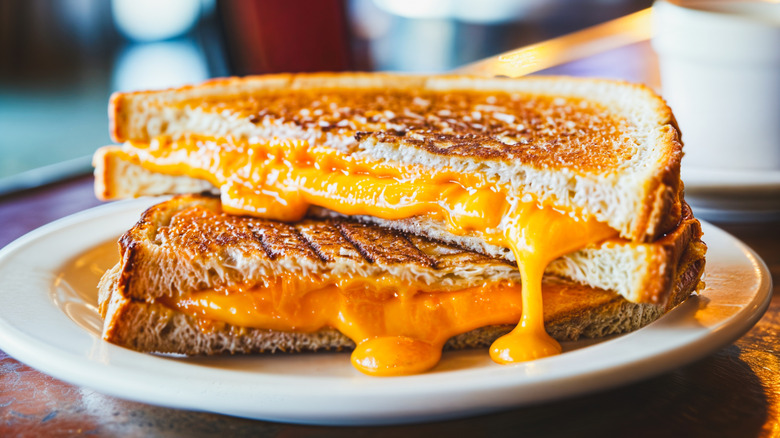 grilled cheese sliced on white plate