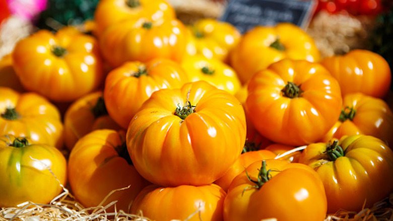 A pile of yellow beefsteak tomatoes
