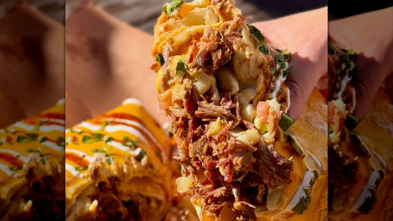 Hand holding a pulled pork burrito in sunlight