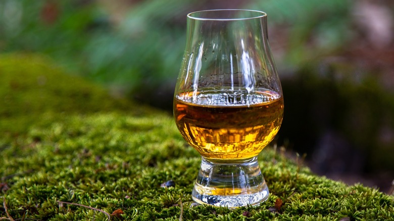 A glass of peated scotch whisky on moss
