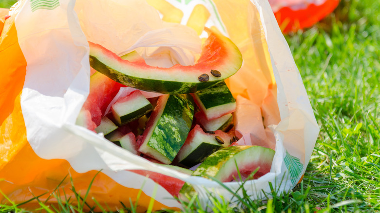 Old watermelon rinds in a plastic bag in the grass