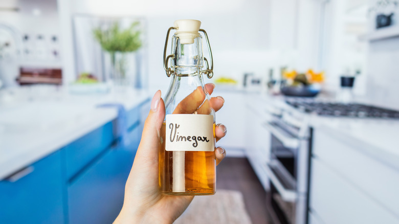 a hand holding a vinegar bottle in the kitchen