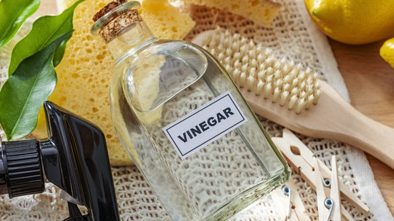 a bottle of vinegar and cleaning supplies