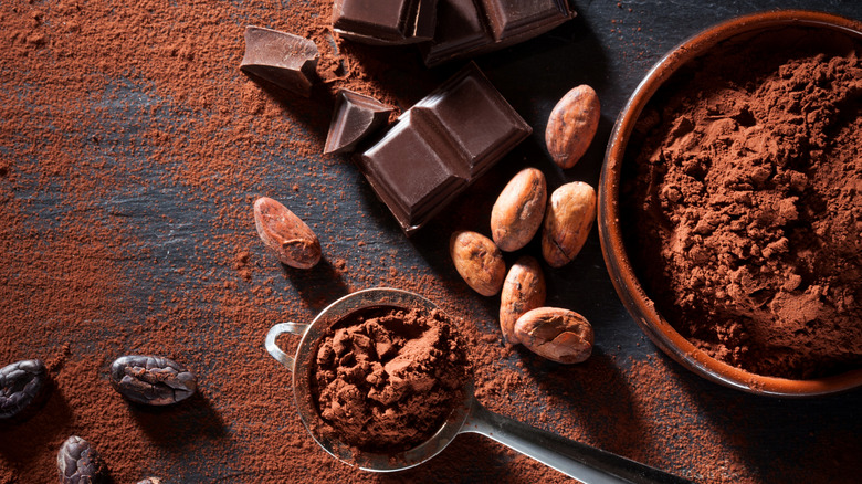 chocolate, cocoa powder, and cacao beans