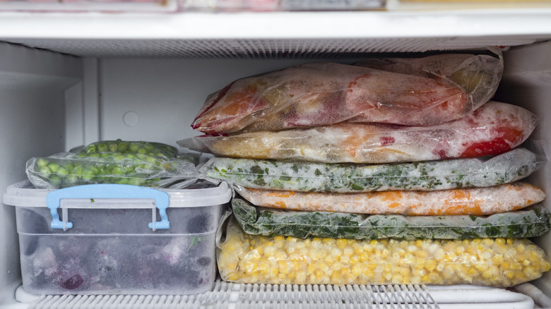 food in a frost free freezer