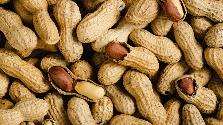 peanuts in shells