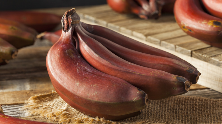 red bananas in a bunch