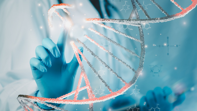 A gloved human hand touching a DNA helix