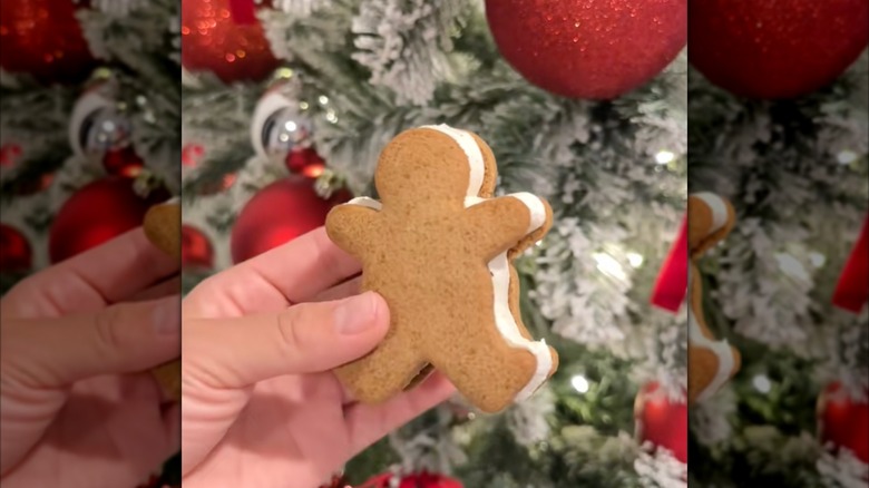 Trader Joe's gingerbread ice cream cookie sandwich