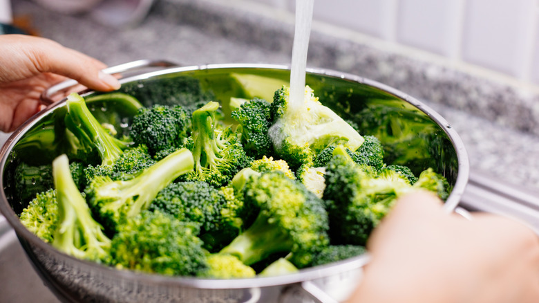 Hands holding colander of chopped broccoli in sink