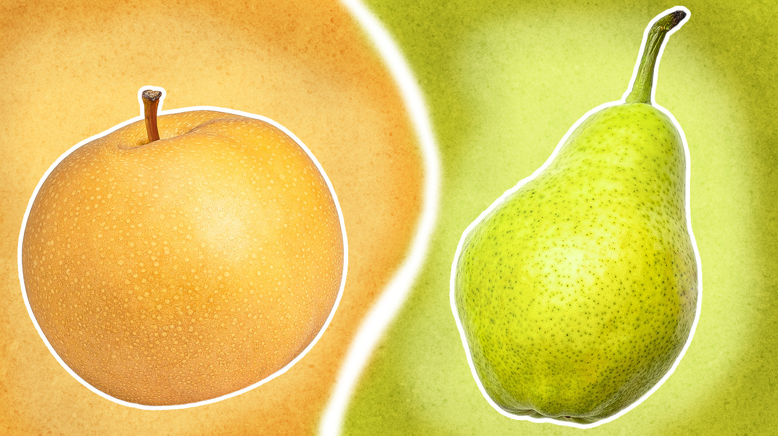 Asian Pears Vs Bartlett What's The Difference?