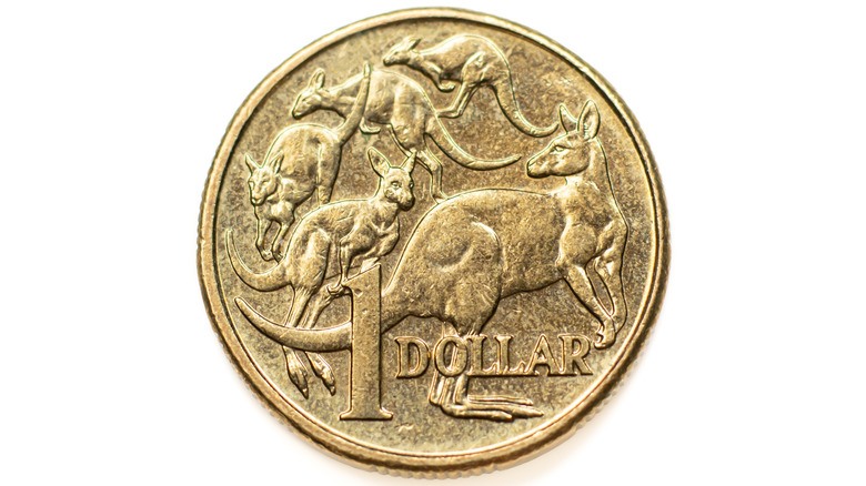 One Australian dollar coin on white background, depicting several kangaroos