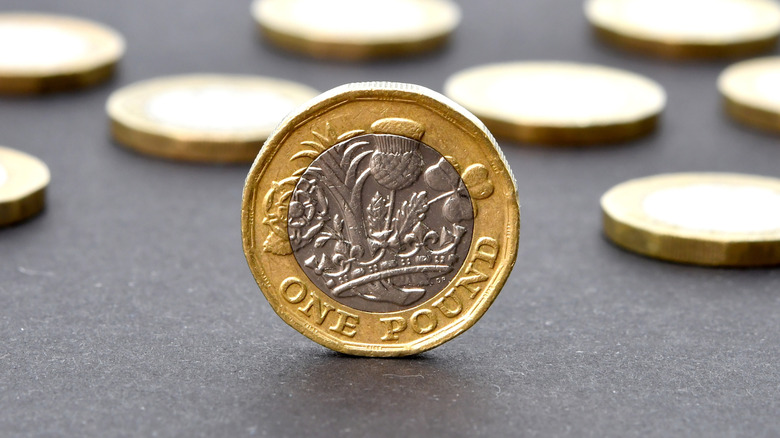 A close-up of one British pound coin
