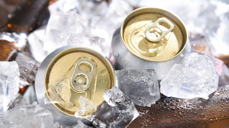cans of beer on ice