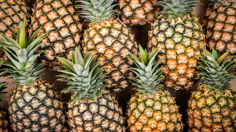 Close-up of fresh pineapples arranged in rows