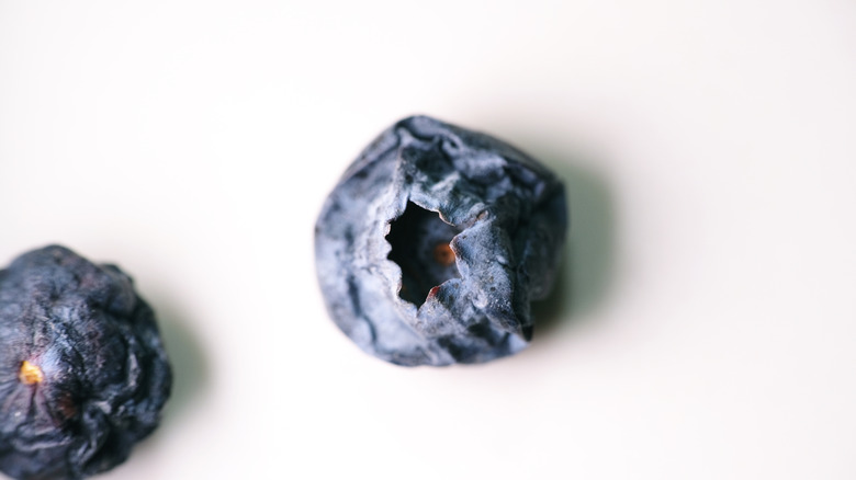 Wrinkled blueberries on white background
