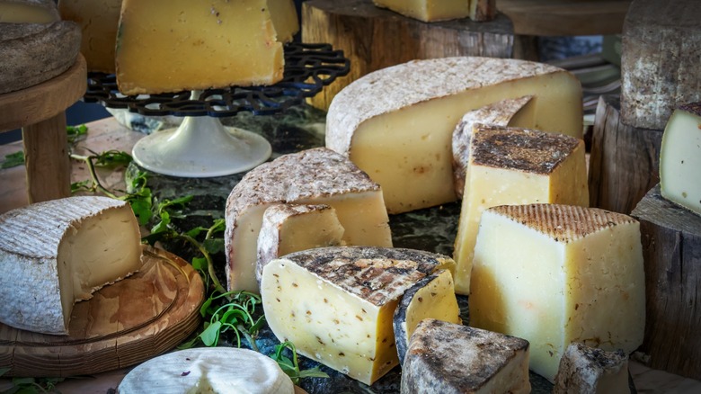 A selection of various aged cheeses that have been cut and put on display