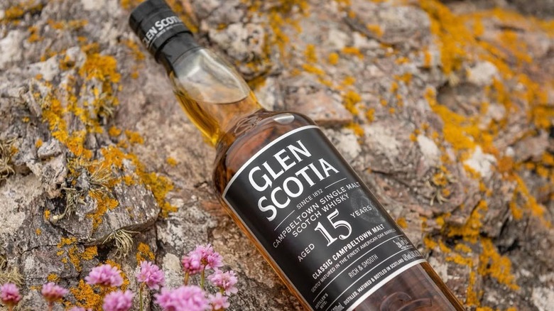 A bottle of Glen Scotia 15-year placed diagonally on a mossy rock