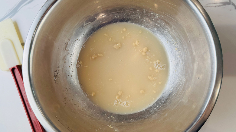 Yeast and water in bowl