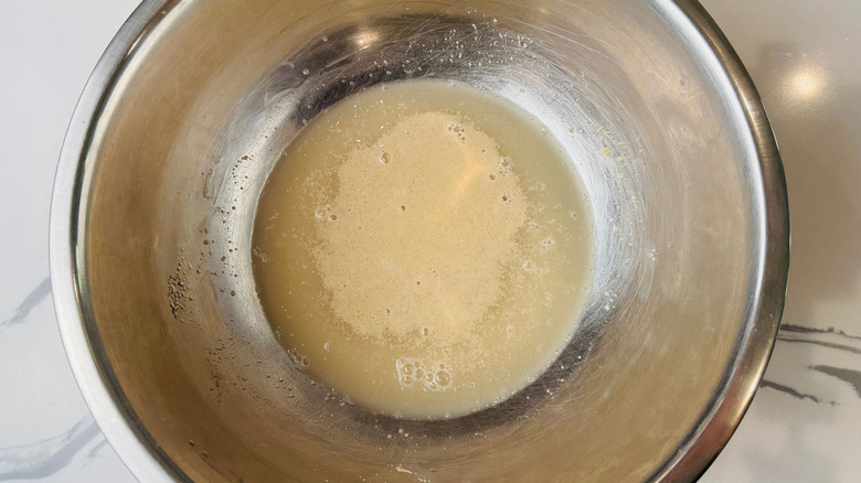 Foamy yeast in bowl