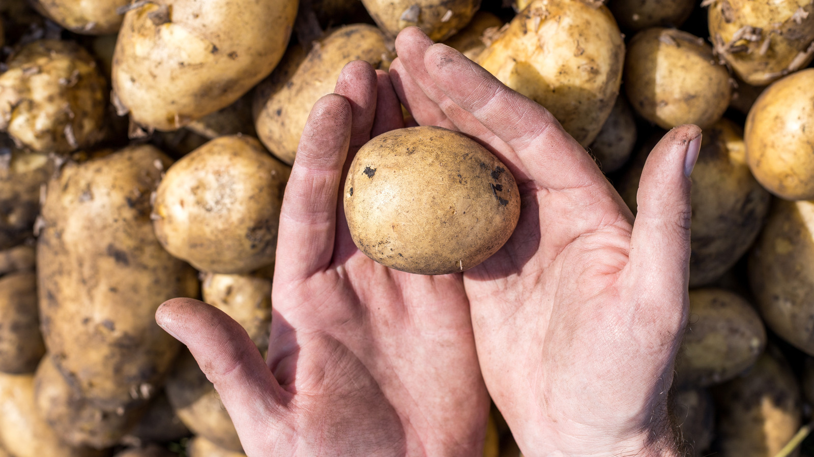 Baked Potatoes Or Mashed? America's Favorite Way To Eat The Spud Is Neither