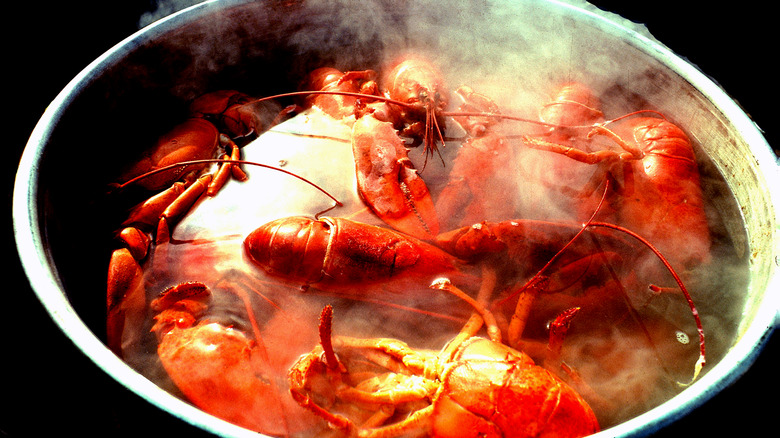 pot of steamed seafood