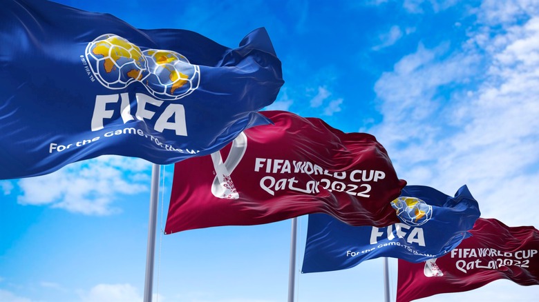 2022 World Cup flags