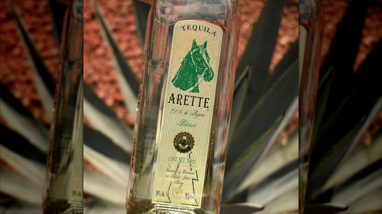 Bottle of Arette tequila over agave