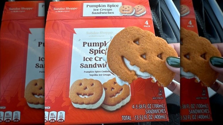 Pumpkin ice cream in hand with packaging