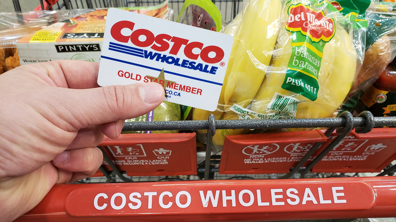A cart full of groceries and someone holding a Costco Gold Star Member card