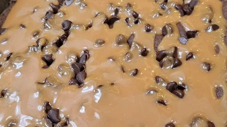 Caramel and chocolate chips slathered on brownie base