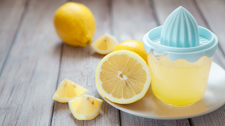 Lemons and fresh lemon juice in a citrus juicer