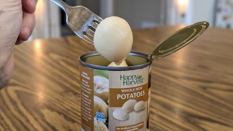 Hand pulling a tiny potato out of an open can with a fork