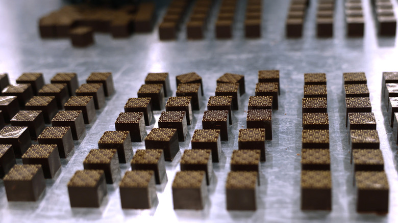 Truffles at the Dandelion Chocolate factory in San Francisco