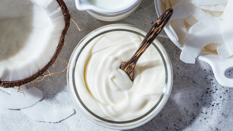 A glass bowl of creamy coconut yogurt with a wood spoon surrounded by coconut meal, flakes, and milk