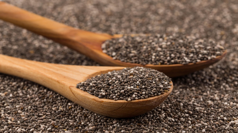 Chia seeds in a spoon