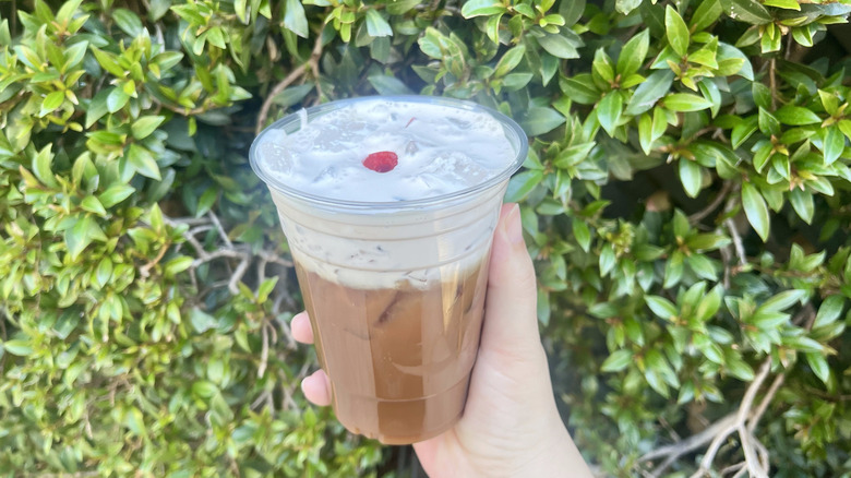 Hand holding a Cherry Cola Cold Brew with a plant in the background