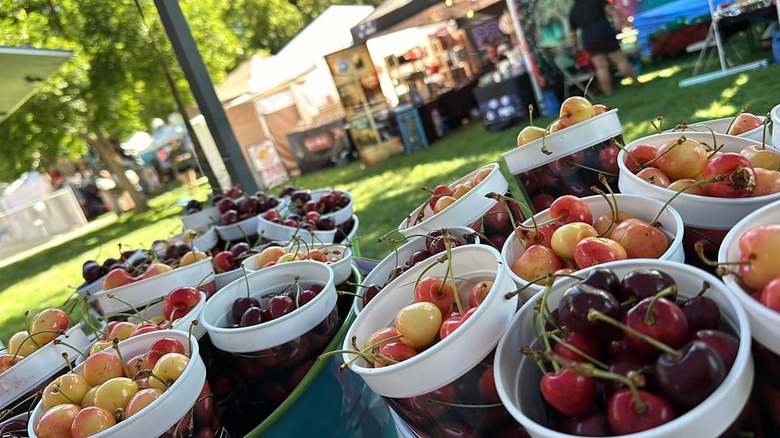 Buckets of local cherries at the Emmett Cherry Festival