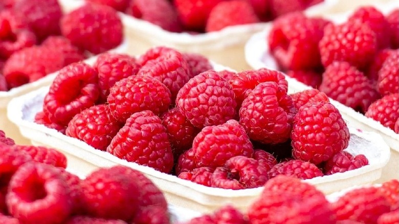 Boxes of raspberries at Bear Lake Raspberry Days