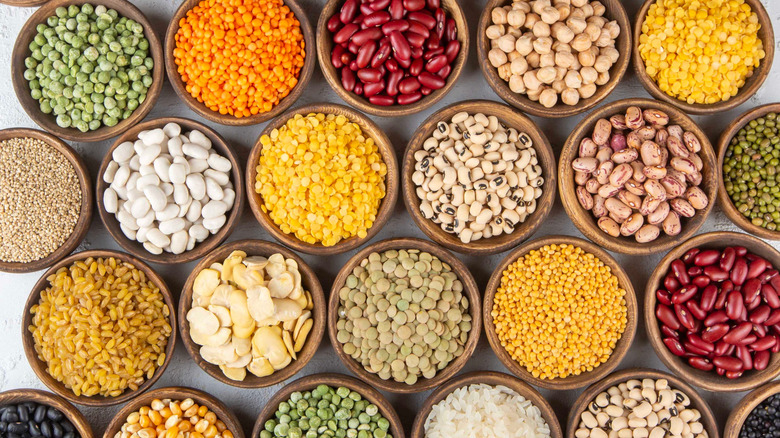 Bowls of different types of beans and legumes