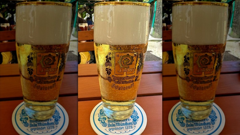 Glass of Augustiner Edelstoff sitting on a table