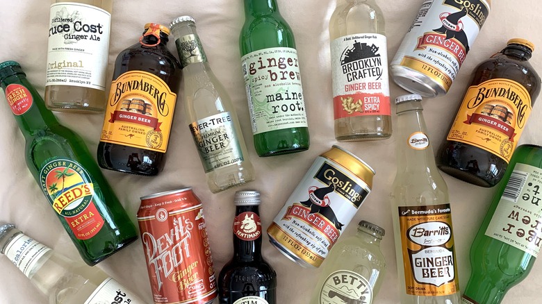 Various ginger beer brands bottles