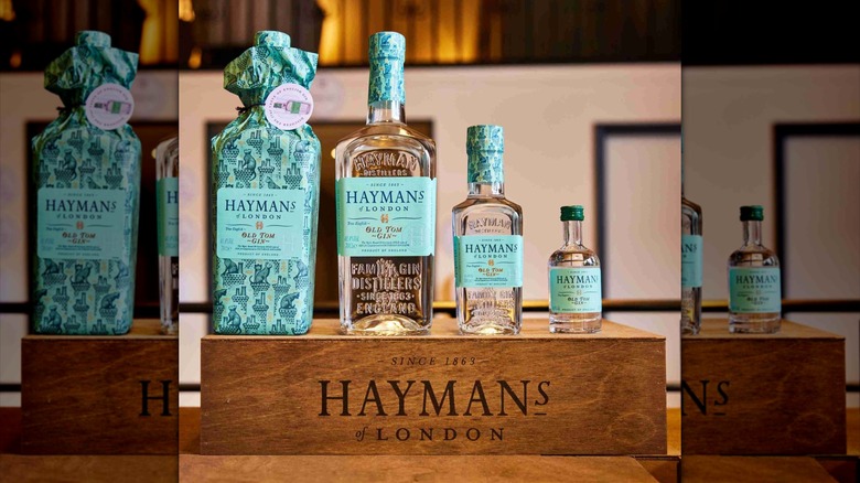 Four bottles of Hayman's Old Tom Gin in various sizes on a wooden platform