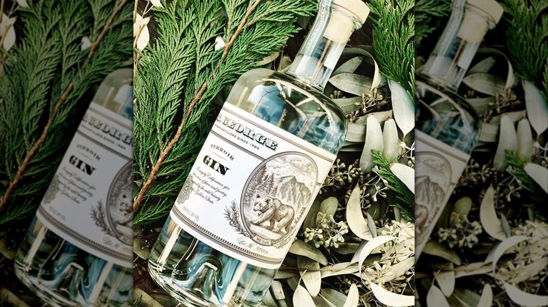 Bottle of St. George Terroir Gin on some of its botanicals