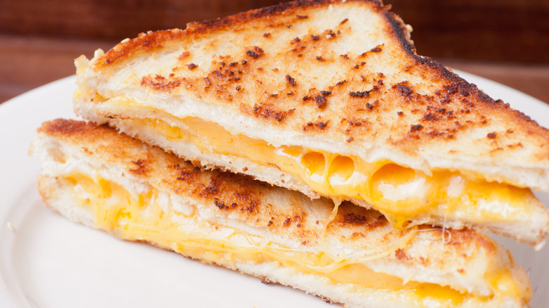 Grilled cheese cut in half on a white plate.