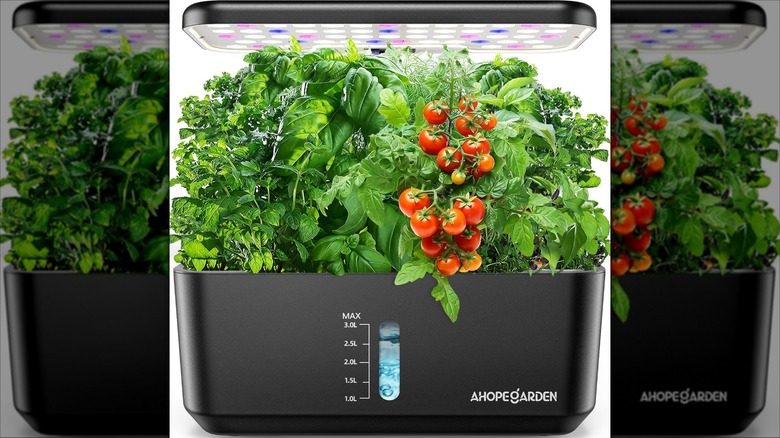 Black Ahopegarden Indoor Garden Hydroponics Growing System 10 Pods with herbs and tomatoes