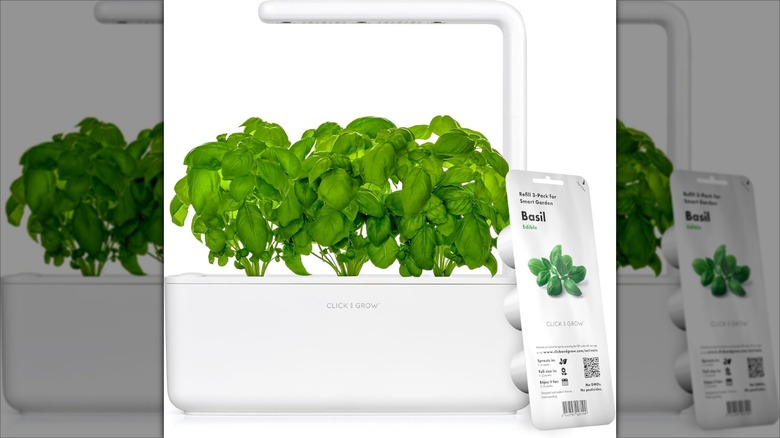 White Click and Grow Indoor Herb Garden Kit 3 Pods with basil and app on phone