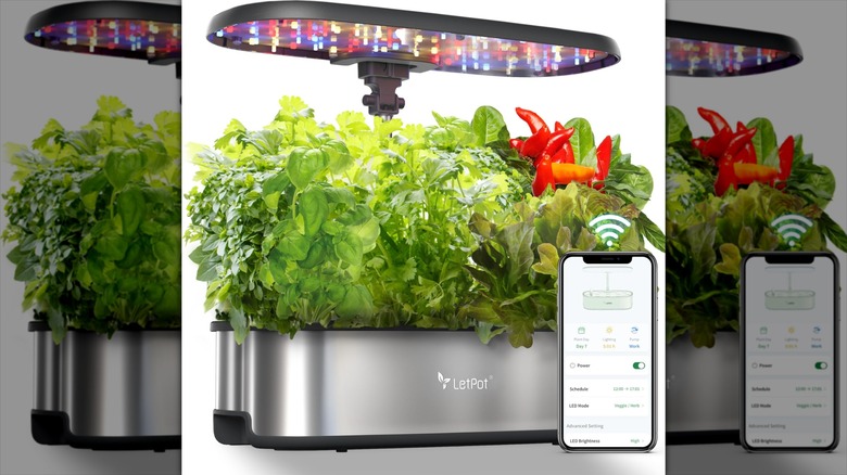 Stainless steel LetPot LPH-SE Hydroponics System 12 Pods with herbs, peppers, and phone app