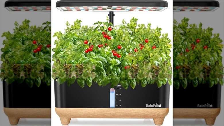 Black and wooden Rainpoint Indoor Hydroponics Growing System 13 Pods with herbs and tomatoes