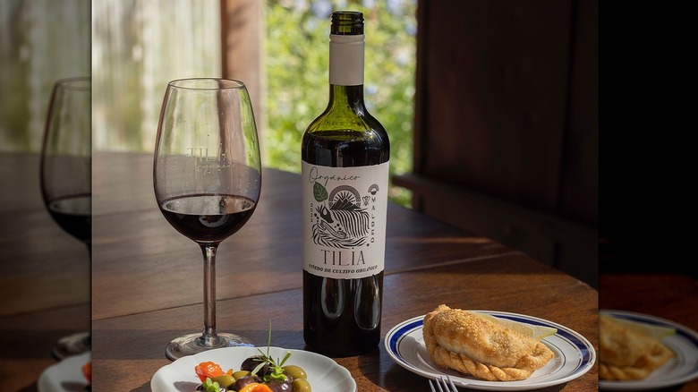 Tilia Organic Malbec with glass and an empanada